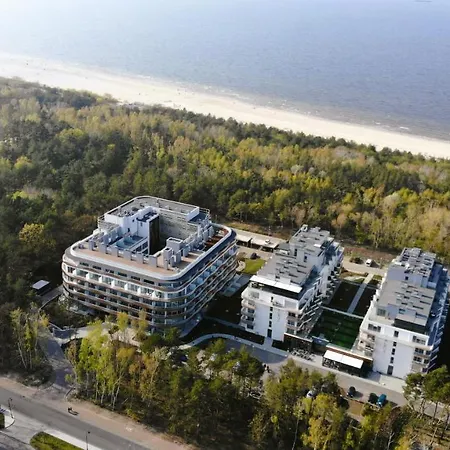 Gold * سفينويتشي